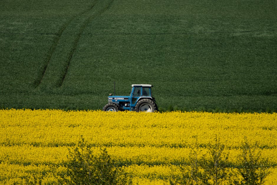 The Changing Face of British Farming: Modern Challenges and Innovations